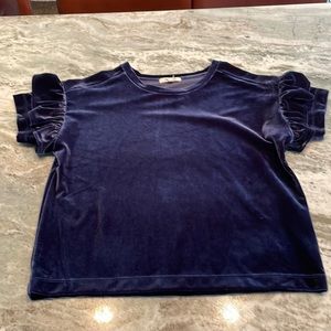 Madewell Velour Ruffle Sleeve Top - Size Small